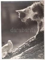 cca 1950 Vadas Ernő (1899-1962): Veszélyben, jelzés nélküli (de a szakirodalomból jól ismert) kép, kiállítási emlékjeggyel, 38x28 cm