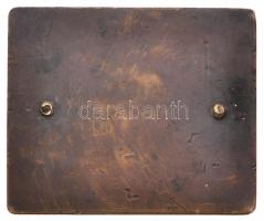 Kisfaludi Strobl Zsigmond (1884-1975) 1924. "Országos Magyar Galamblövő Egylet" Br plakett...