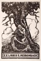 Rivista del Club Alpino Italiano. Szerk.: Manaresi, Angelo. 50. évf., 1931. október.Renegeteg érdeke...