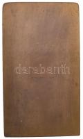 Körmendi Frimm Jenő (1886-1959) 1913. "M.T.K. (Magyar Testgyakorlók Köre) 1888-1913" Br pl...