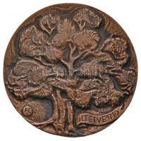 Paál István (1935-2010) 1989. "Bábolna 1789-1989 / Ültetve 1710" Br emlékérem (95mm) T:1
...