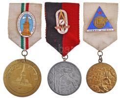 1954. "Miskolc V.T.S.B. - Hermann Ottó emlékverseny" fém turista emlékérem mellszalagon, zománcozott jelvénnyel együtt (35mm) + 1955. "Miskolc V.T.S.B. - Hermann Ottó emlékverseny" fém turista emlékérem mellszalagon, zománcozott jelvénnyel (44mm) + 1958. "Vasutas Kupa II - Vasutas Sportközpont" fém emlékérem mellszalagon, zománcozott "Lokomotiv Kupaverseny 1958" zománcozott jelvénnyel (40mm) T:2