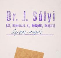 cca 1950 Dr. Sólyi J.: Gyors vágás, pecséttel jelzett vintage fotóművészeti alkotás, 40x29 cm