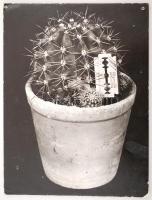 cca 1970 Várhegyi Ferenc: Wilkinson, feliratozott vintage fotóművészeti alkotás, kasírozva, két sarkán képakasztó nyoma, 39x29 cm