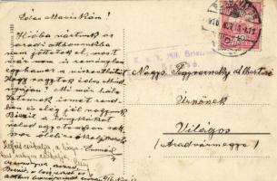 Szászváros, Broos; Transsylvania szálloda / Hotel