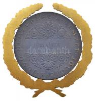Arató Gyula (1889-1969) DN "Magyar Sport Érem / A Jövő Nemzedéke a Nemzet Jövője - Tátos Nándor...