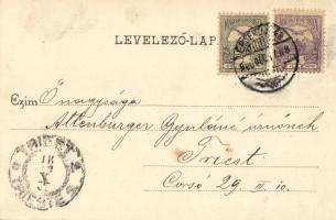 Érsekújvár, Nove Zamky; Bánhegyi bőrgyár, kiadja Conlegner J. és fia / leather factory