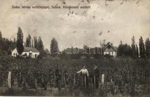 Szikra, Szász István szőlőtelepe Kecskemét mellett; Fantó fényképész felvétele