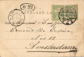 Visegrád, Hajóállomás / Dunaufahrten, Collection Schulz-Jaffé; Art Nouveau floral