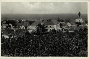 Oka, Oggau am Neusiedler See; Látkép szőlőskerttel, Franz Mörtl felvétel / View with vineyard