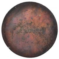 Renner Kálmán (1927-1994) 1935. "A Magyar Műszaki Felsőoktatás 200 éves" fém emlékplakett ...