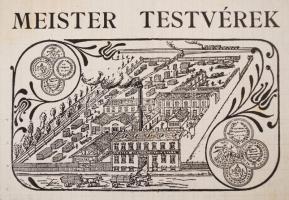 1910 Meister Testvérek Faárugyár magyar és német nyelvű díszes fejléces számla /

1910 Meister Bro...