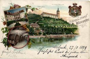 1899 Melnik, Zamek, chram sv. Petra / castle, church, wine cellar litho (Rb)