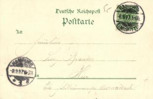 1897 Hamburg, Allgemeine Gartenbau Ausstellung; Kunstanstalt Rosenblatt / Gardening Expo litho