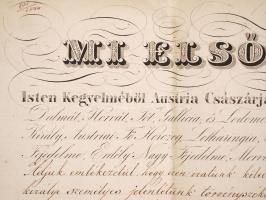 1844 Ügyvédi oklevél, kihirdetési záradékkal / Lawyers warrant 63x40 cm