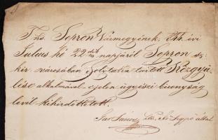 1844 Ügyvédi oklevél, kihirdetési záradékkal / Lawyers warrant 63x40 cm