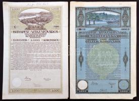 Budapest 1918-1920. "Budapest Székesfőváros" kötelezvénye 1000K-ról és 5000K-ról magyar és német nyelven szelvényekkel, bélyegzéssel T:II-,III