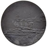 Osztrák-Magyar Monarchia 1917. "Anton Haus admirális" Zn emlékérem. Szign.: R. Bachmann (5...