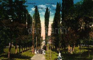 Érsekújvár, Vasúti fasor / alley (EK)