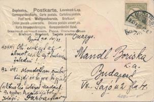 Beautiful bird with real feathers, Emb. litho art postcard