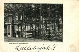 Old Orchard, Camnp ground