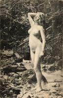 Erotic nude; Künstler Akt-Studie (non PC) (EK)