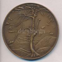 Kiss Nagy András (1930-1997) DN "Csontváry Tivadar" Br emlékérem ÁPV plasztiktokban ismert...