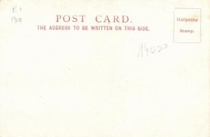 Art Nouveau floral litho s: Raphael Kirchner