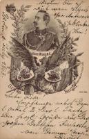 1893 (!) Kaiser Wilhelm II, Gruss aus Berlin; very rare early postcard (small tear)