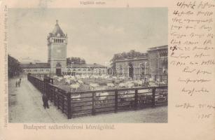 Budapest IX. Schlachthaus