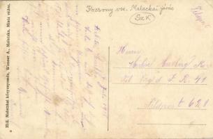 Malacka, látkép a ferencrendi kolostor templom tornyából, zsinagóga / synagogue (r)