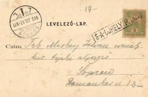 Radvány, Gróf Károlyi László kastélya, kiadja Lővy Adolf