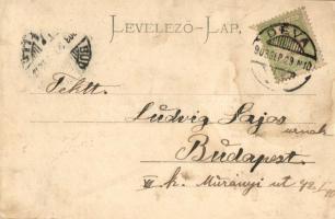 Déva, Törvényszéki palota, posta; kiadó Hirsch Adolf / court (fl)