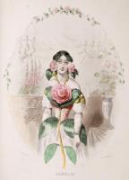 Grandville, J.J.: Les Fleurs animees. I. Paris, 1847. Gonet. 28 színezett acélmetszettel. Aranyozott...
