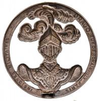 Franciaország ~1952. "Páncélos lovasság" fém sapkajelvénye, hátoldalán "DRAGO-Rue de ...