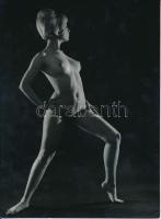 Lussa Vince (1924-2006): Akt sötét háttér előtt, fotó, hátulján pecséttel jelzett, 23,5×17,5 cm /  Nude photo, with photographer's stamp, 23,5×17,5 cm