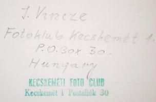 Vincze János (1922-1999): Türelmesen (1961), nagyméretű fotó, hátulján feliratozva, pecséttel jelzet...