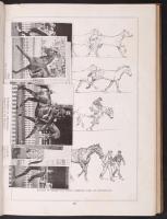 Maler Ludwig Koch: Die Reitkunst im Bilde.
Wien, é.n. Campagne-Reitergesellschaft. egsézvészon köté...