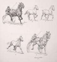 Maler Ludwig Koch: Die Reitkunst im Bilde.
Wien, é.n. Campagne-Reitergesellschaft. egsézvészon köté...