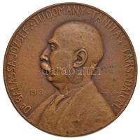 Gárdos Aladár (1878-1944) 1918. "Dr. Balassa József" Br emlékérem. "DR. BALASSA JÓZSEF - TUDOMÁNY - TANÍTÁS - TÁRSADALOM" (51mm) T:2 Hungary 1918. "József Balassa" Br commemorative medallion. Sign.: Aladár Gárdos (51mm) C:XF HP 2482.