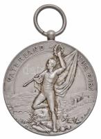 Svájc 1897. "Szövetségi Sport Fesztivál Schaffhausen 1897" jelzetlen Ag emlékérem "JOHNSON-MILANO" gyártói jelzéssel. Sign.: Richard Amsler (22.77g/35mm) T:2 kis ph. Switzerland 1897. "Federal Sport Festival Schaffhausen 1897" Ag medal without hallmark with makers mark "JOHNSON-MILANO". "VATERLAND NUR DIR! / EIDGEN. TURNFEST SCHAFFHAUSEN 1897". Sign.: Richard Amsler (22.77g/35mm) C:XF small edge error