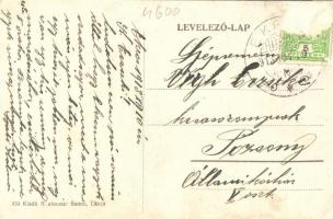 Apácaszakállas, Ekecs, Okoc; Községháza, Neuhauser Samu üzlete; saját kiadása / town hall, shop (Rb)