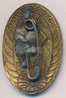 ~1960-1970. "Érdemes Vasutas" zománcozott Br jelvény T:2 hátlapján forrasztásnyom