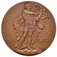 Reményi József (1887-1977) 1934. "A M. Kir. Operaház 50 Éves Fennállásának Emlékére" Br emlékérem (70mm) T:1-,2 1934. "50th Anniversary of the foundation of the Hungarian Royal Opera House" Br medallion. Sign.: József Reményi (70mm) C:AU,XF HPII 2249.