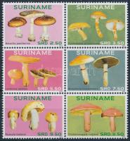 Gombák sor hatostömb Mushrooms set block of 6