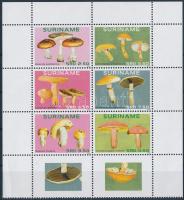 Mushroom set margin block of 6 with coupon, Gombák sor ívszéli hatostömb szelvénnyel