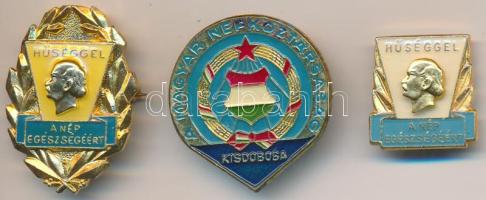 ~1970-1980. "Hűséggel a Nép Egészségéért" zománcozott, aranyozott fém jelvény (2xklf) + "A Magyar Népköztársaság Kisdobosa" zománcozott fém jelvény T:1-,2