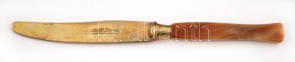 XX. sz eleje: Bakelit nyelű vajazó kés készlet. Acél és bronz eredeti dobozában / Begining of the 20...