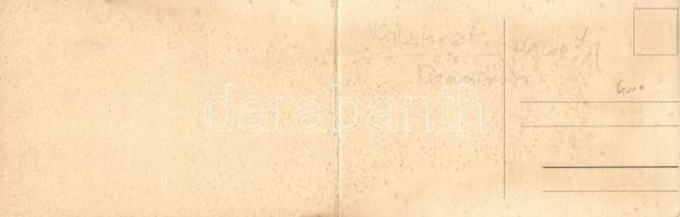 Budapest XIV. Korcsolyázó Egylet műjégpályája, Milleniumi emlékmű, panoramacard (hajtásnál szakadt /...