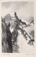 Jahrbuch des Schweizer Alpenclub 1901. Bern, 1902. Schweizer Alpenclub. Nagyon sok képpel. Aranyozot...